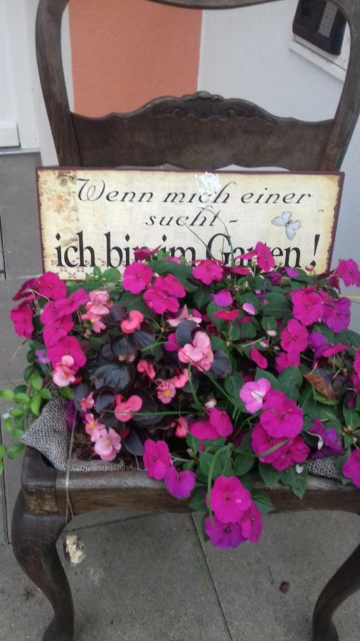 Fewo 2 Ferienwohnung Waren Mueritz - Haus Buchen Am Tiefwarensee - 2 Zi Buitenkant foto